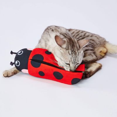猫用おもちゃ けりぐるみ テントウムシ